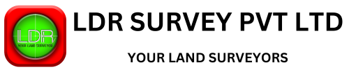 LDR Survey Logo